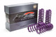 D2 Racing Pro Series Lowering Springs D2 Racing Pro Series Lowering Springs